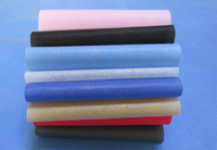 本号镇涤纶（PET）无纺布是什么