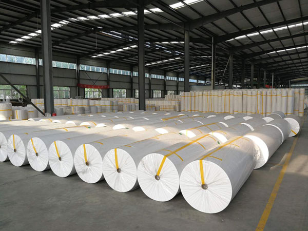 本号镇狭缝式涤纶纺粘无纺布